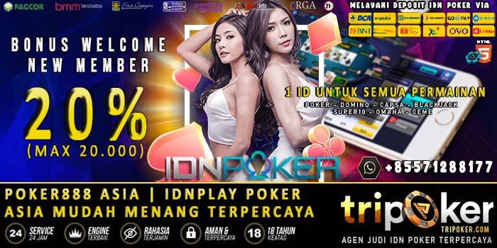 Poker888 Asia | Idnplay Poker Asia Mudah Menang Terpercaya